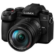 ミラーレス一眼カメラ Panasonic LUMIX DC-G99M2H 高倍率ズームレンズキット [ブラック]