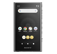 SONY NW-A307 64GB グレー
