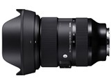 カメラレンズ 24-70mm F2.8 DG DN [ソニーE用]