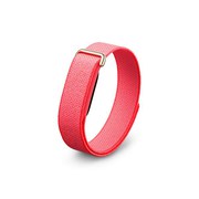 Google Fitbit Air[Berry]