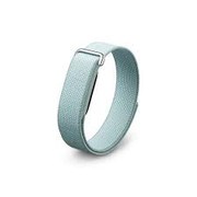 Google Fitbit Air[Fog]