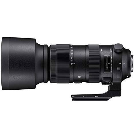 SIGMA レンズ 60-600F4.5-6.3 DG OS HSM/N