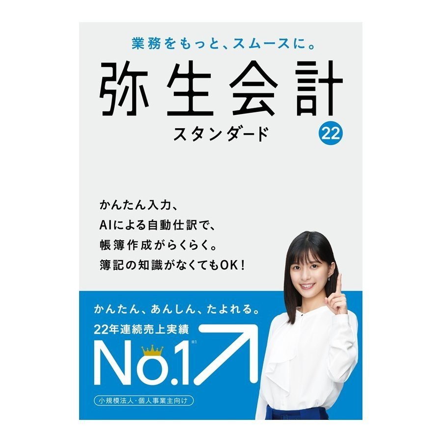 弥生 弥生会計 22 スタンダード 通常版