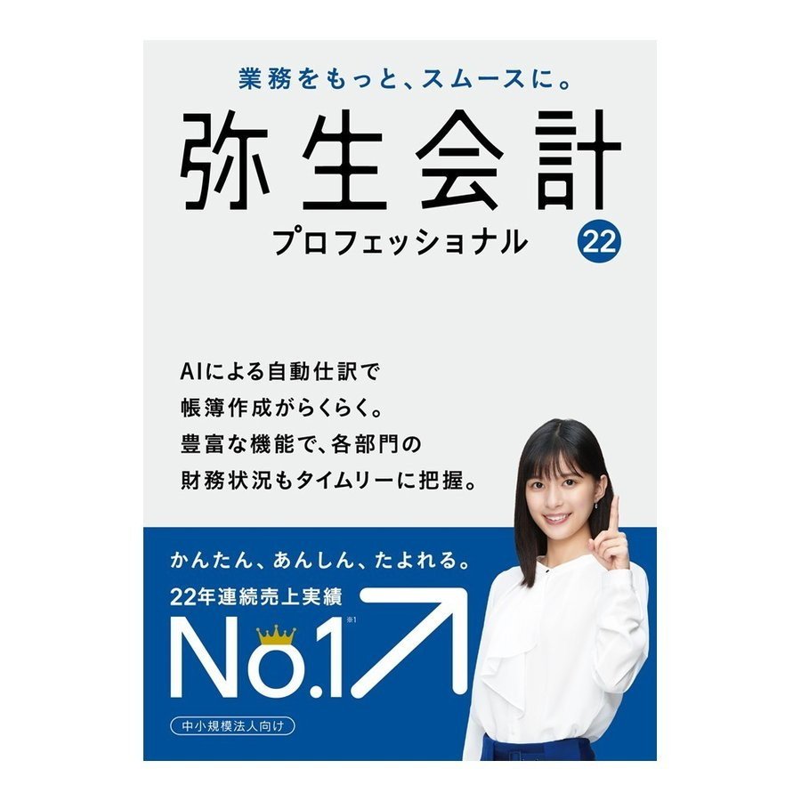 弥生 弥生会計 22 プロフェッショナル 通常版