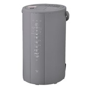 象印 スチーム式加湿器 EE-DG50-HA [グレー]